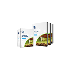 Curso Superior en Economía Verde y Sostenibilidad